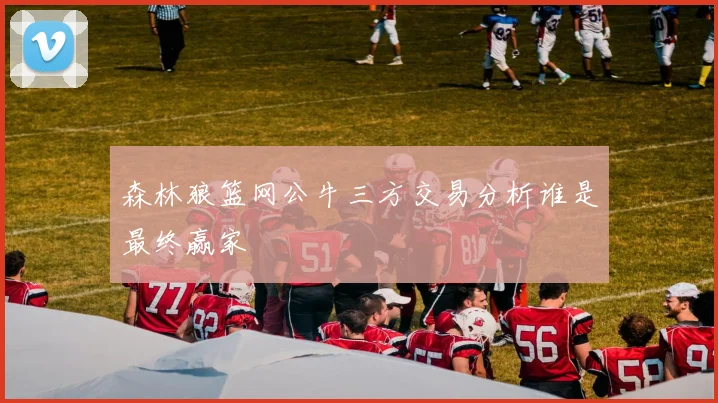 森林狼篮网公牛三方交易分析谁是最终赢家